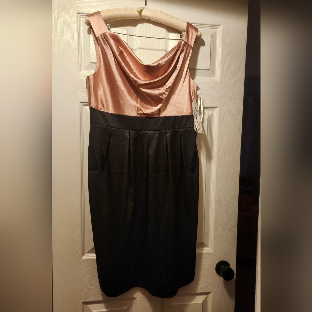 NWT Lizzatti Collection pink & black dress 14